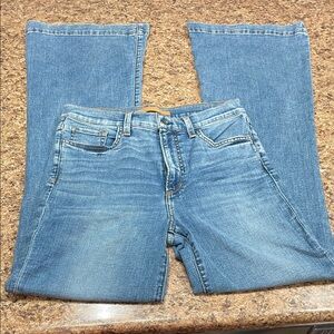 NWOT Joe's Jeans The Molly Everyday High Rise Flare 29